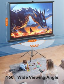 100 inch manual projection screen global white