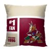 Official NHL Colorblock Personalized Pillow - Coyotes