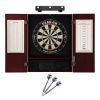 Viper Dead On Board, Mahogany Cabinet, The Raven Steel Tips