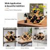 Kitchen Natural Bamboo Wine Rack Display Storage Shelf