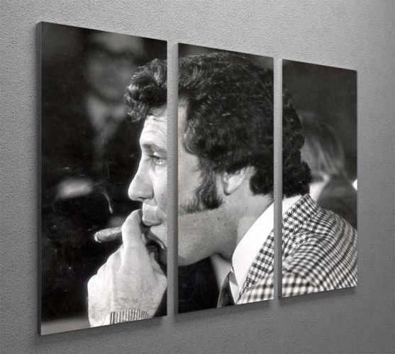 Tom Jones with cigar 3 Split Panel Canvas Print